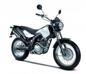 2009 Derbi Cross City 125 photo